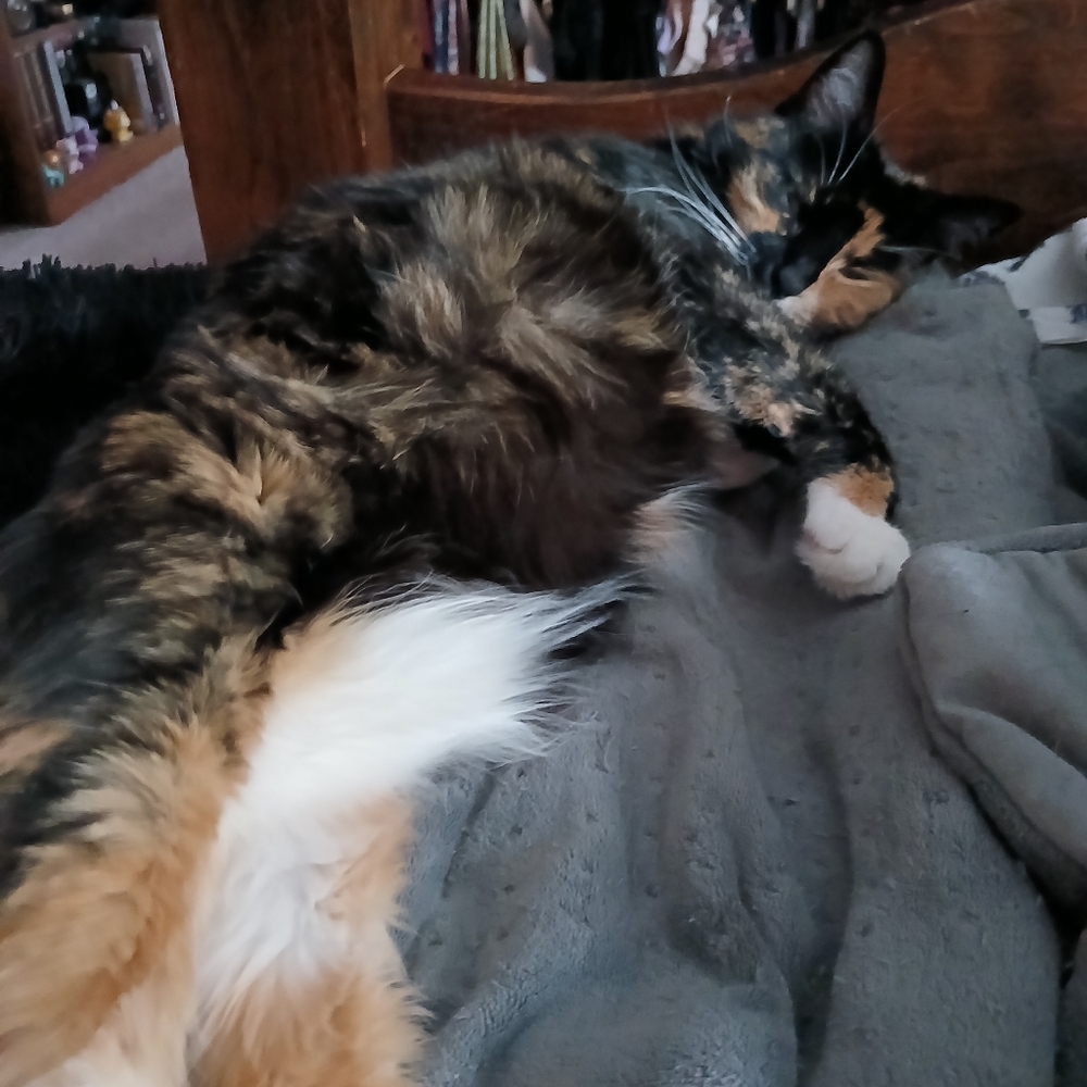 Meet your Posher, Autumn